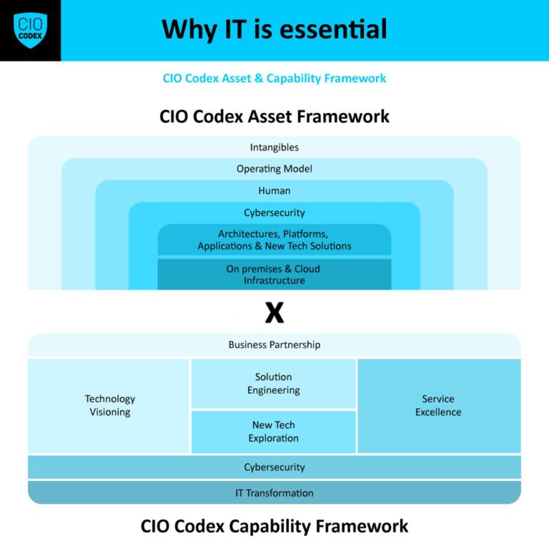 IT Assets & Capabilities