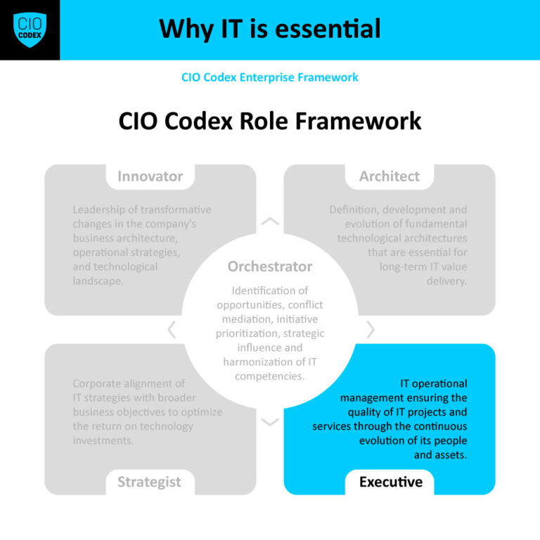 CIO Executive