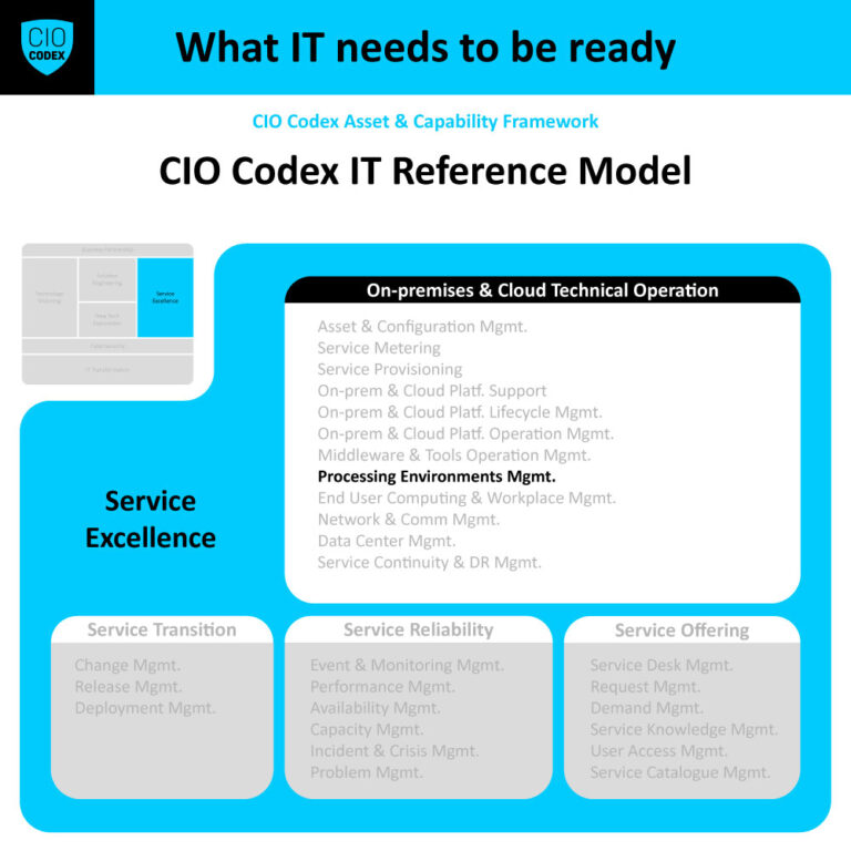 Processing Environments Management