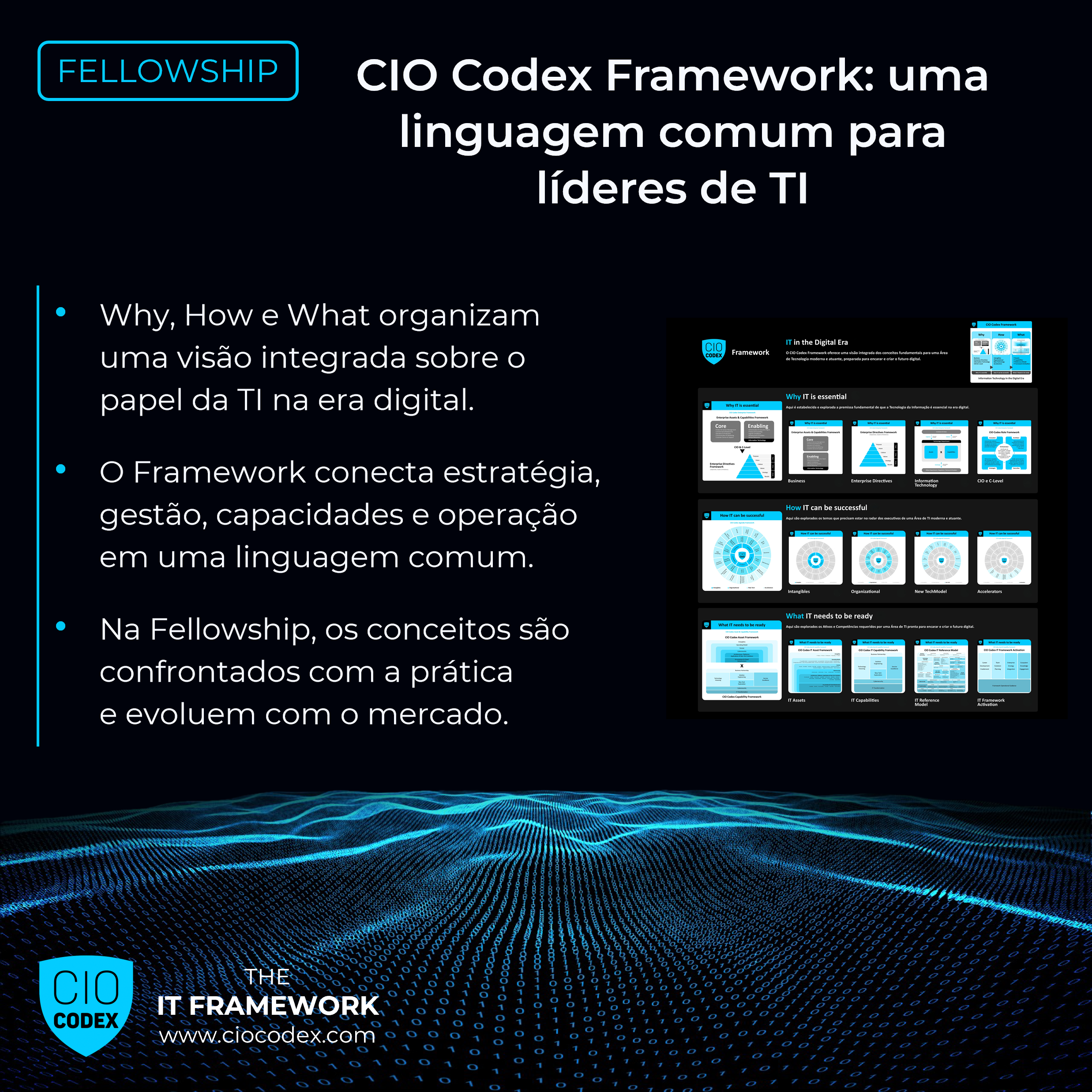 CIO Codex Framework: criando uma linguagem comum