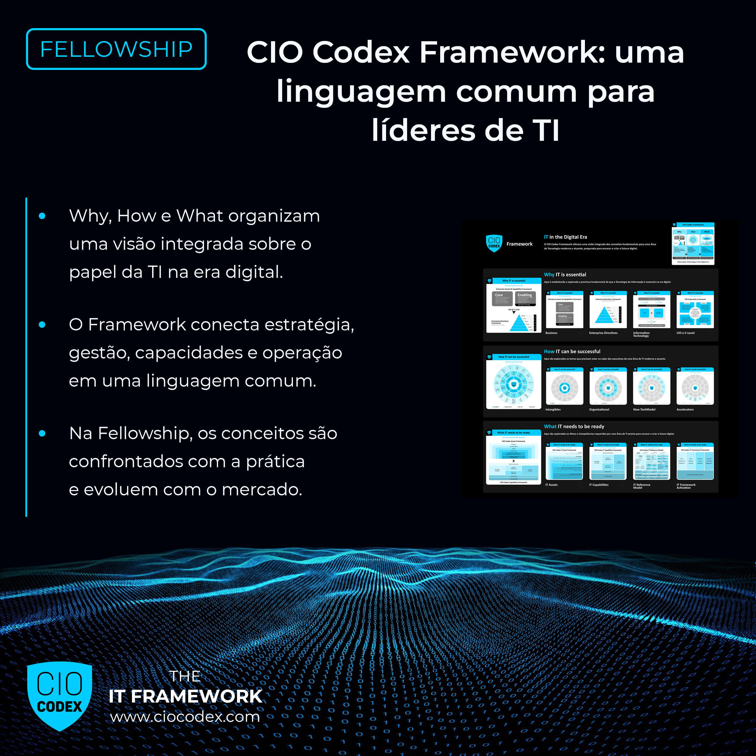 CIO Codex Framework: criando uma linguagem comum